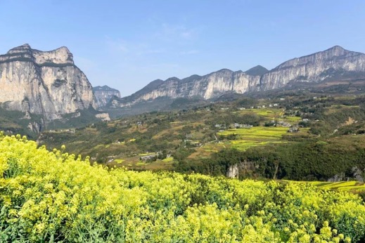 8.1亿吨！五年来我国煤炭去产能提前实现工作